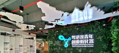 孵化器提供的哪些服務(wù)對初創(chuàng)企業(yè)最有幫助